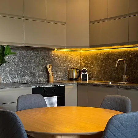 Novi Ligure Central Apartment 公寓 *